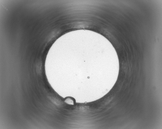 X0000063500304200602172126