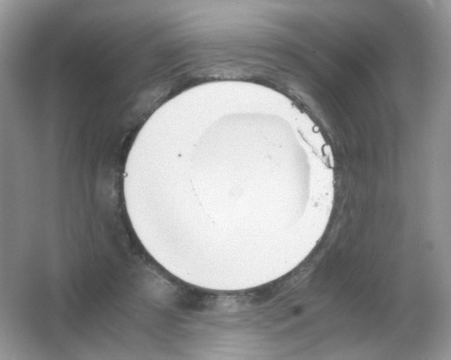 X0000063500305200602172126