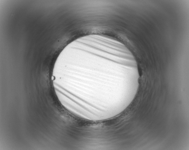 X0000063500306200602172126