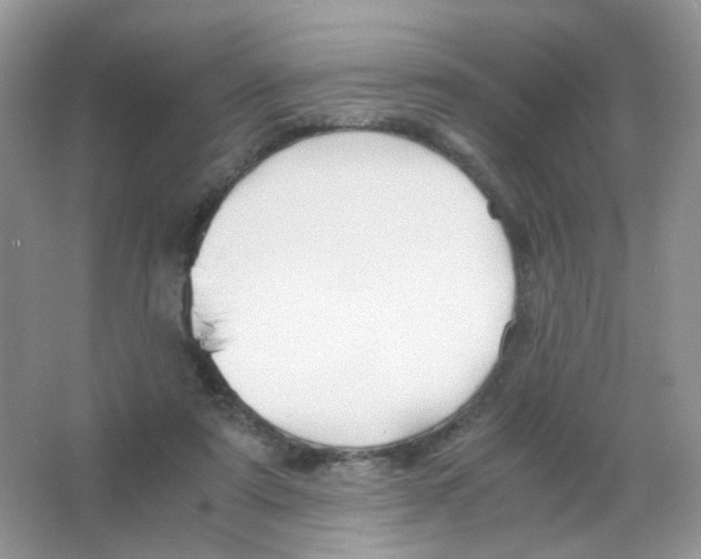 X0000063500307200602172126