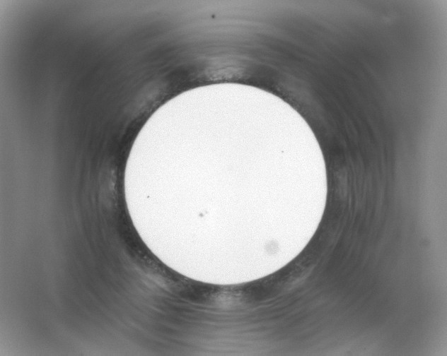 X0000063500308200602172126