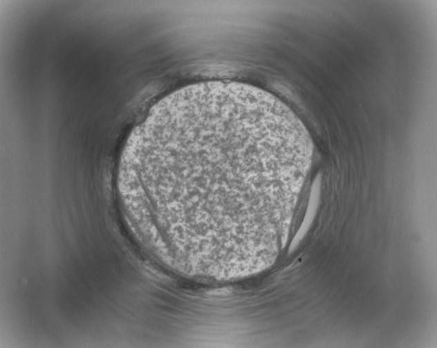 X0000063500309200602172126