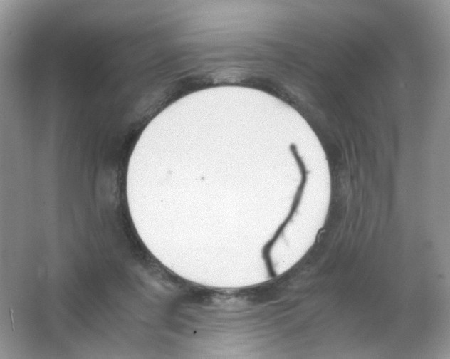 X0000063500311200602172126