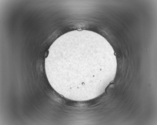 X0000063500313200602172126