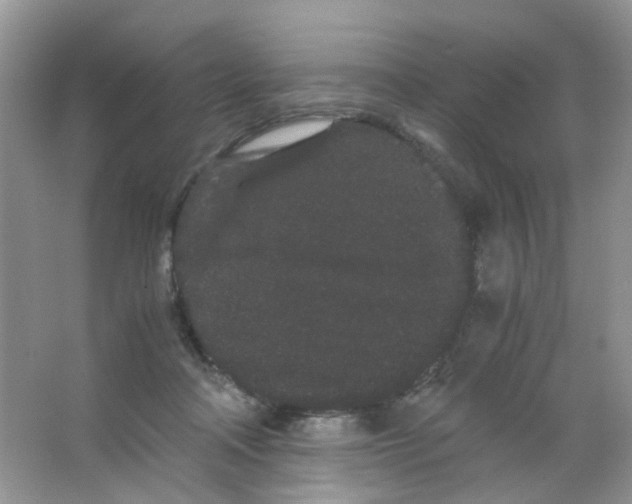 X0000063500314200602172126