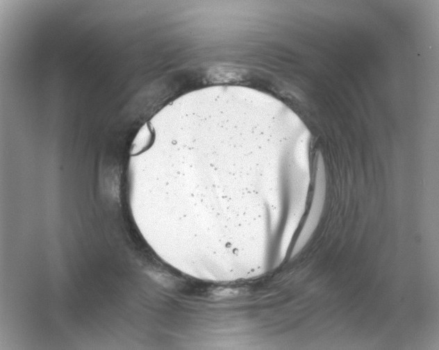 X0000063500315200602172126