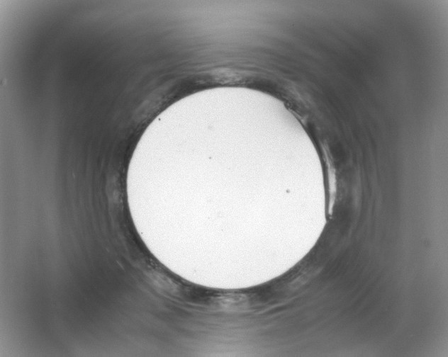 X0000063500317200602172126