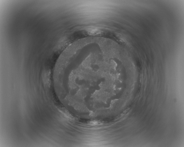 X0000063500319200602172126