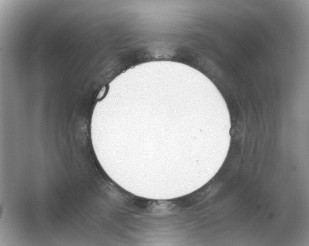 X0000063500321200602172126