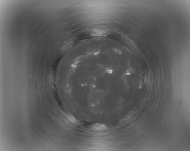 X0000063500322200602172126