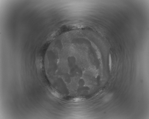 X0000063500323200602172126