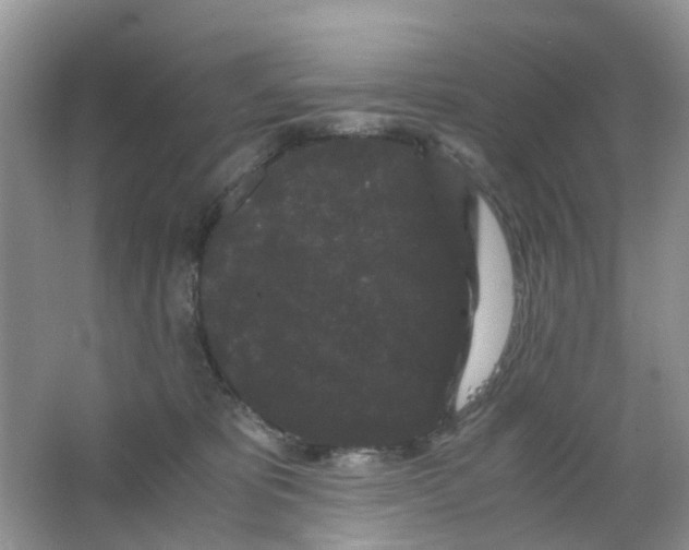 X0000063500325200602172126