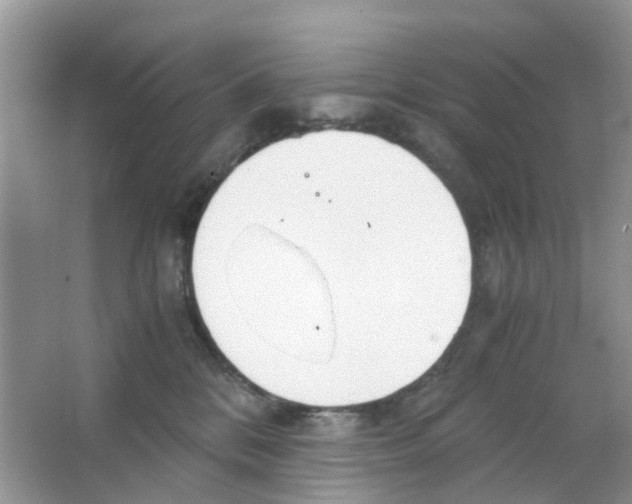 X0000063500328200602172126