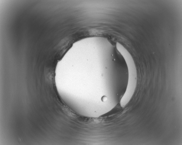 X0000063500329200602172126