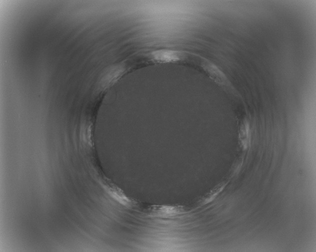 X0000063500330200602172126