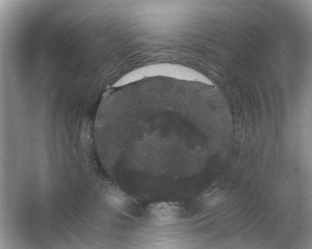 X0000063500331200602172126