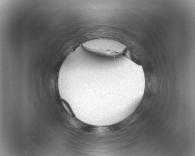 X0000063500333200602172126