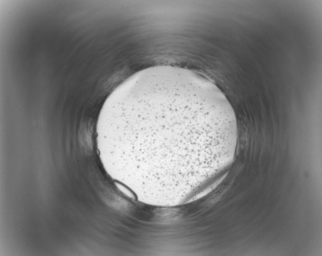 X0000063500334200602172125