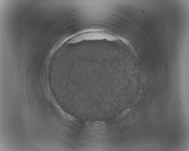 X0000063500337200602172125