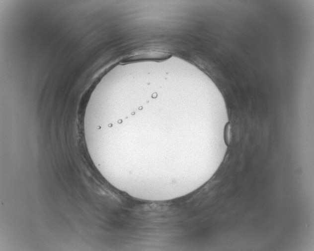 X0000063500338200602172125