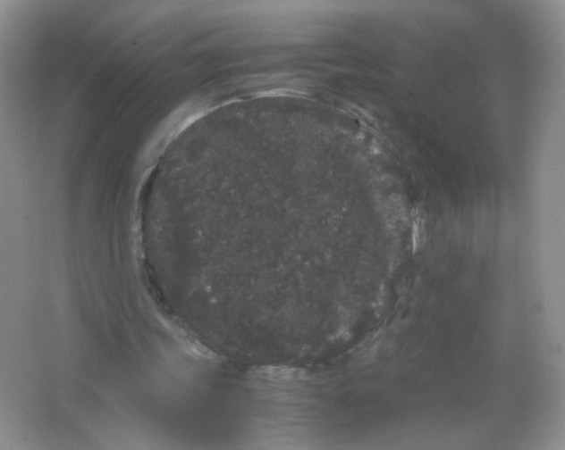 X0000063500339200602172125