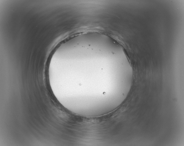 X0000063500340200602172125