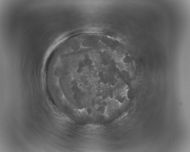 X0000063500343200602172125