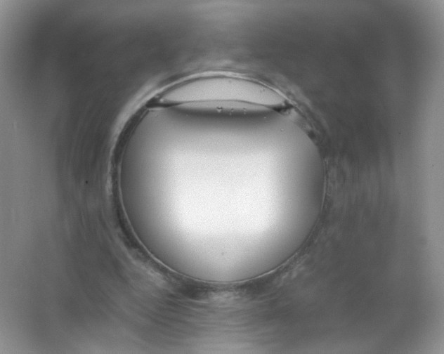 X0000063500344200602172125