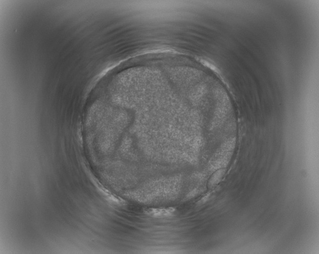 X0000063500345200602172125