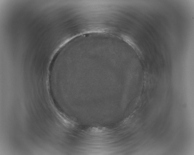 X0000063500346200602172125