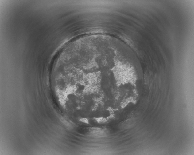 X0000063500347200602172125