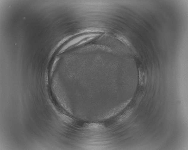 X0000063500348200602172125