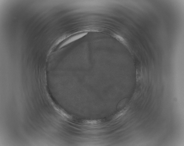 X0000063500349200602172125