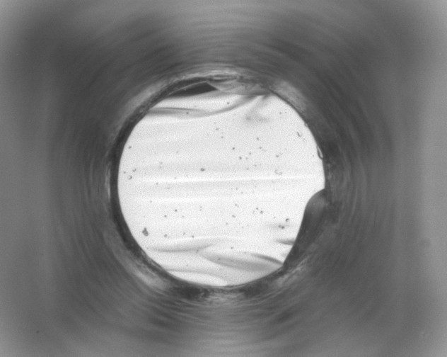 X0000063500350200602172125