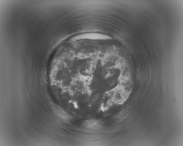 X0000063500351200602172125