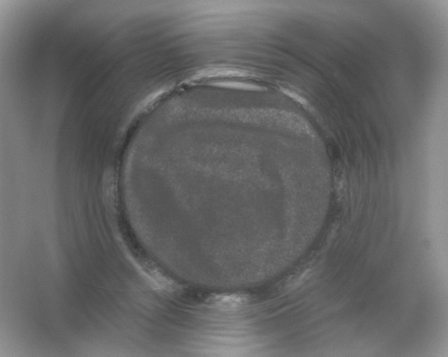 X0000063500352200602172125