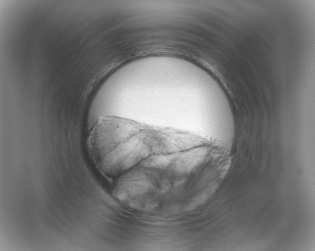 X0000063500353200602172125