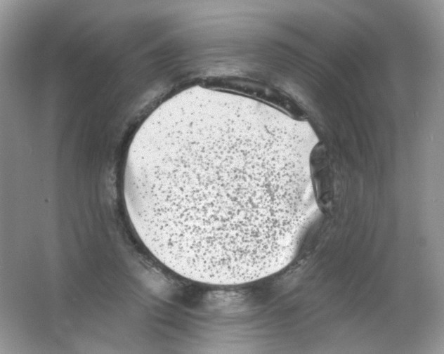 X0000063500354200602172125