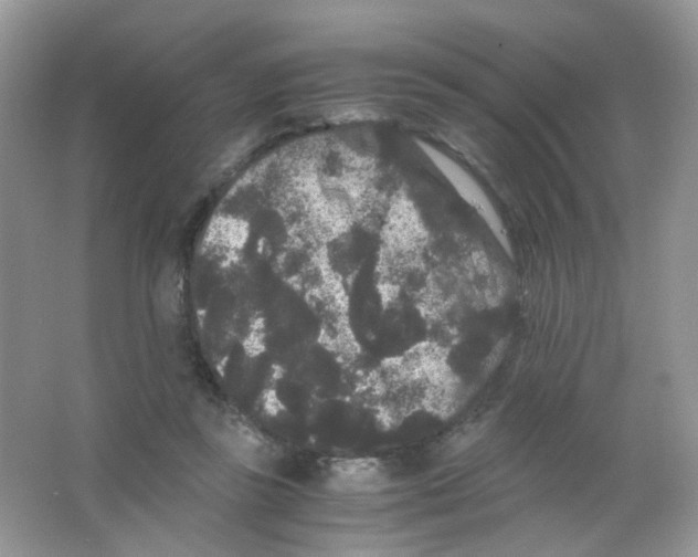 X0000063500355200602172125