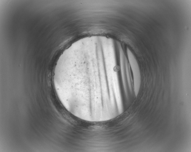 X0000063500356200602172125