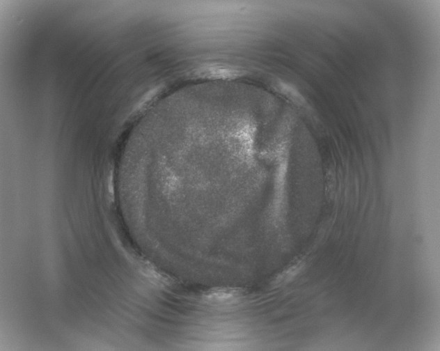 X0000063500358200602172125