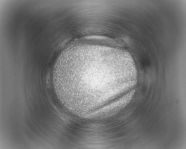 X0000063500360200602172125