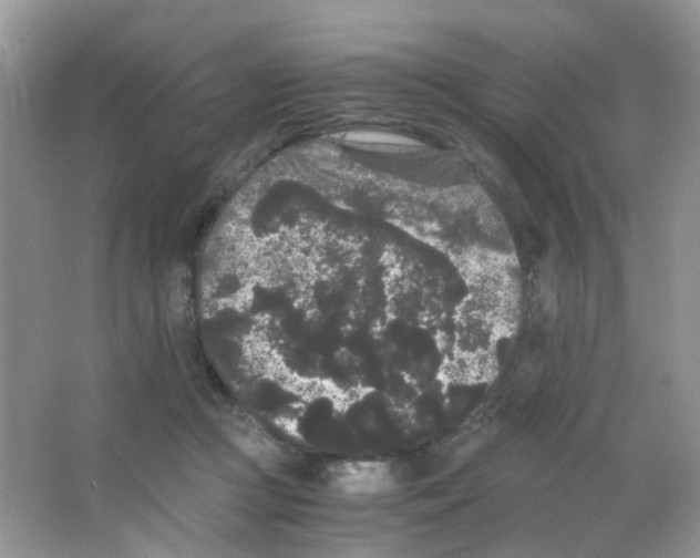 X0000063500361200602172125