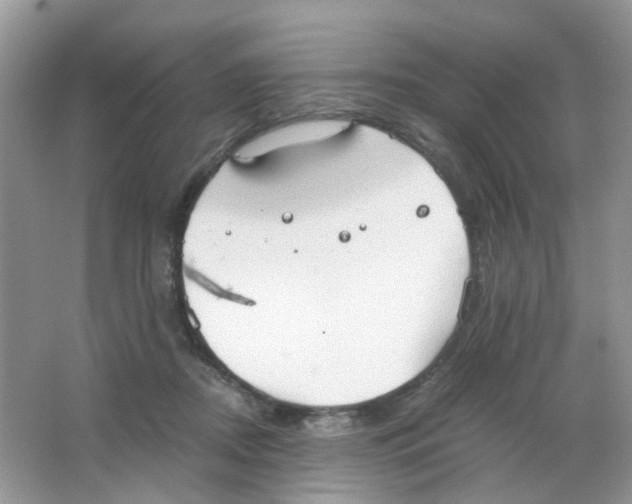 X0000063500362200602172125