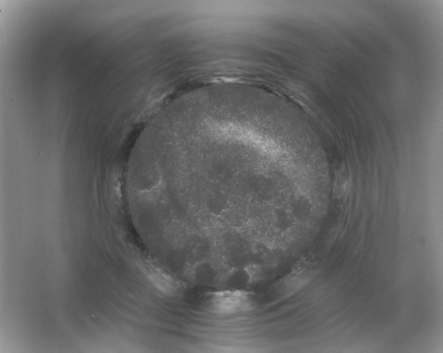 X0000063500363200602172125