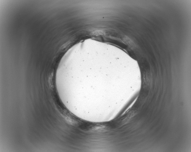 X0000063500364200602172125