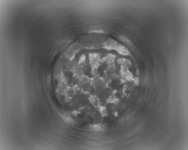 X0000063500365200602172125