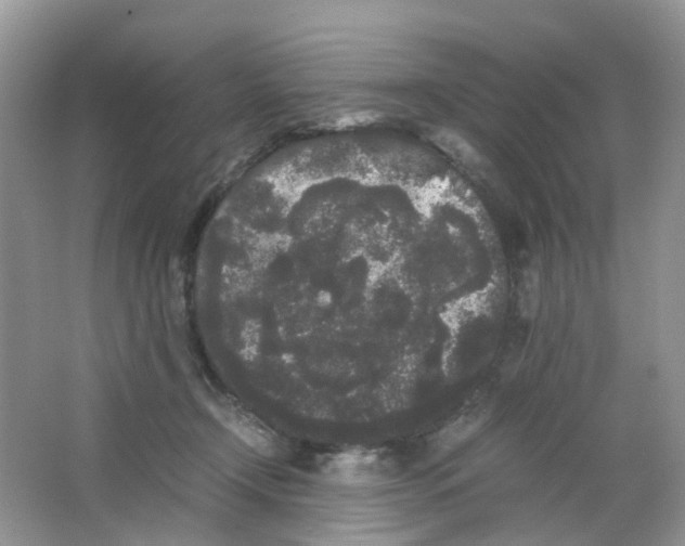 X0000063500366200602172125