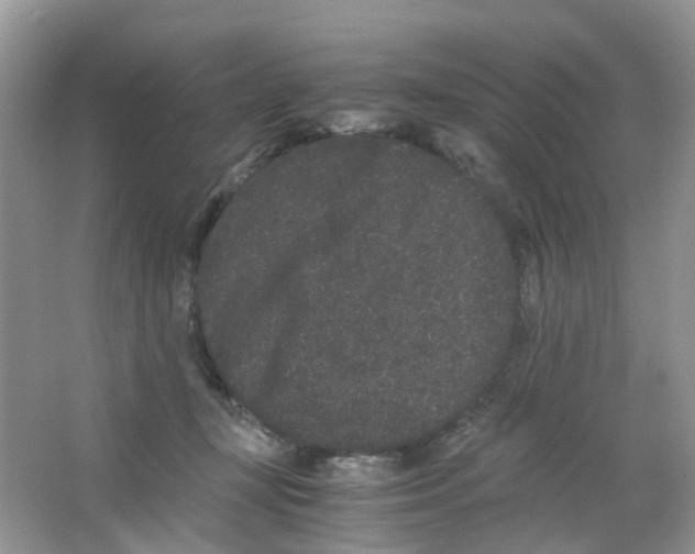 X0000063500367200602172125