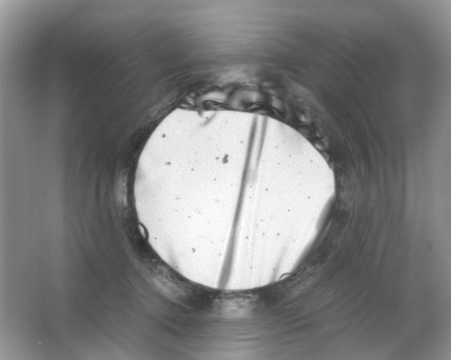 X0000063500368200602172125